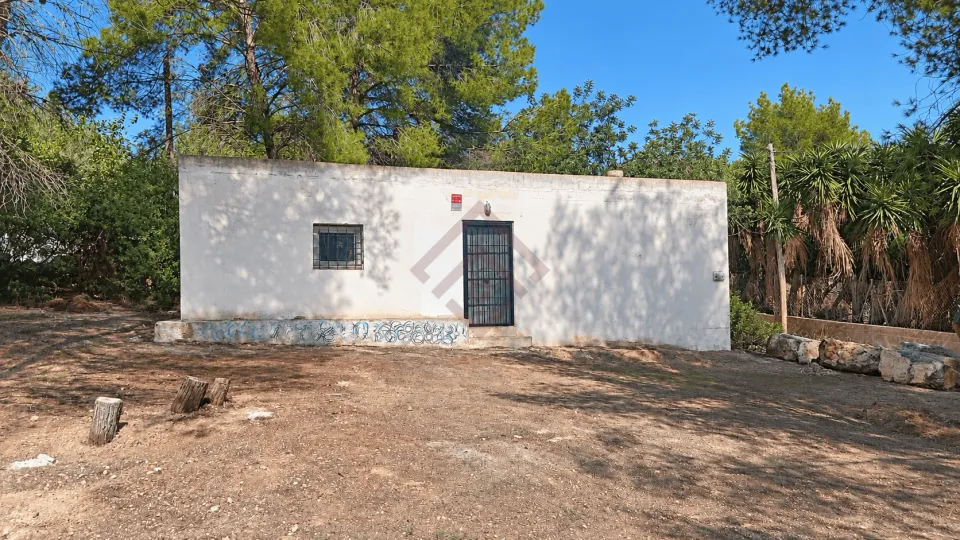 Terreno rústico llano de 2.000 m² con construcción auxiliar en Santa Gertrudis